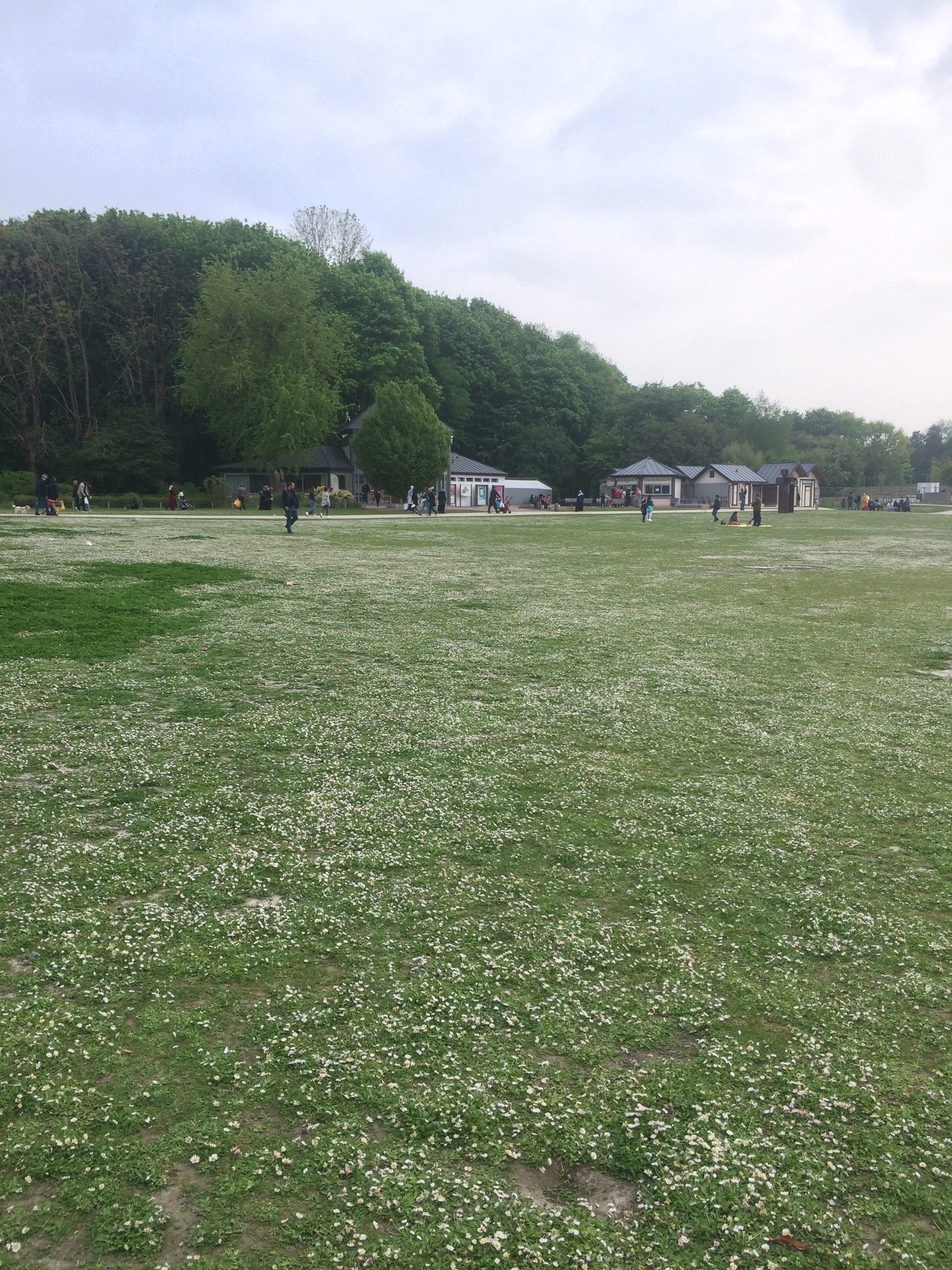 Photo n° 5 de l'avis de Sema. fait le 01/05/2019 à 17:19