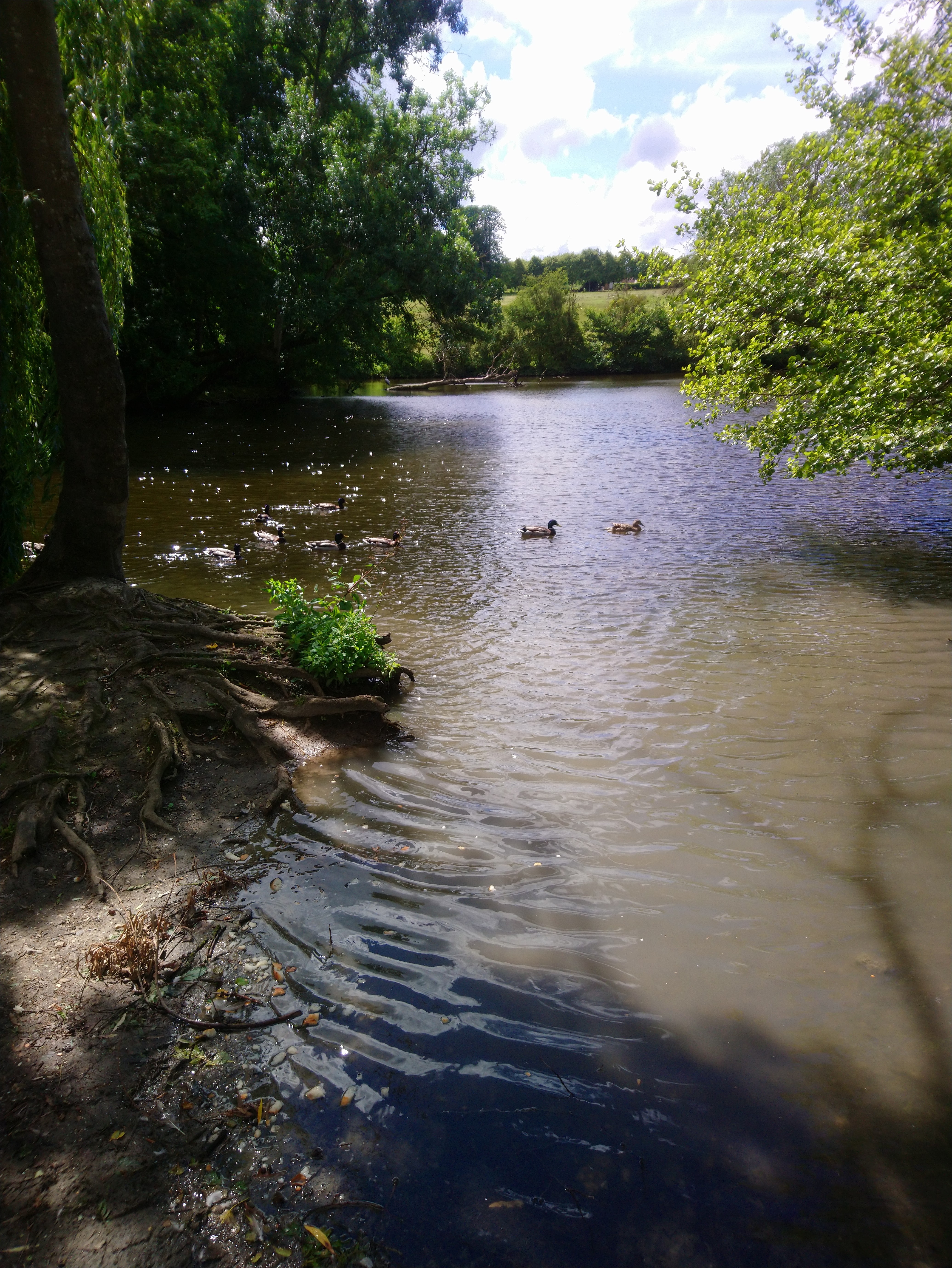 Photo n° 12 de l'avis de Lucien.e fait le 10/06/2019 à 14:26