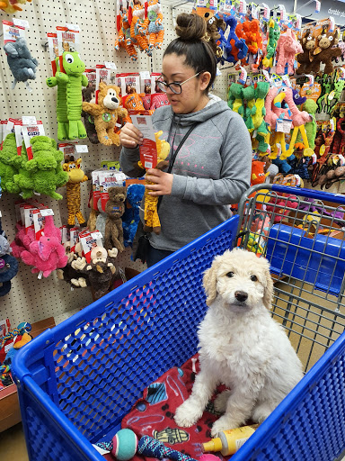 Pet Supply Store «PetSmart», reviews and photos, 160 Wadsworth Blvd, Lakewood, CO 80226, USA