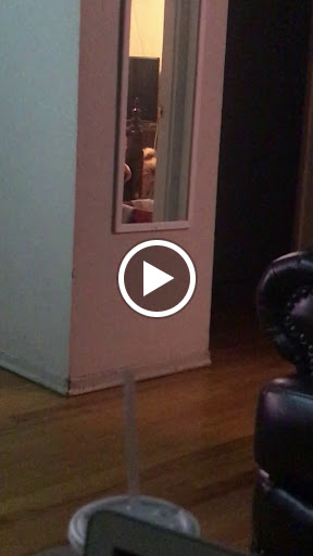 Cookie Shop «Insomnia Cookies», reviews and photos, 6301 Delmar Blvd, University City, MO 63130, USA