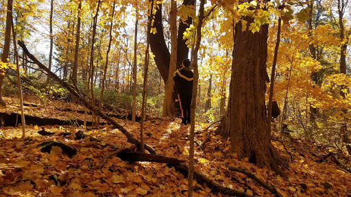 Nature Preserve «Princess Ledges Nature Preserve», reviews and photos, 4361 Spruce Ave, Brunswick, OH 44212, USA