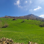 Photo n°7 de l'avis de Elena.a fait le 05/01/2020 à 21:38 sur le  Merelli Gilberto à Nembro