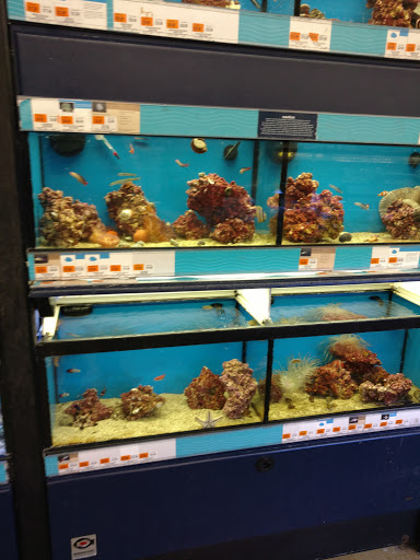 Pet Supply Store «Petco Animal Supplies», reviews and photos, 1 US-46, Totowa, NJ 07512, USA