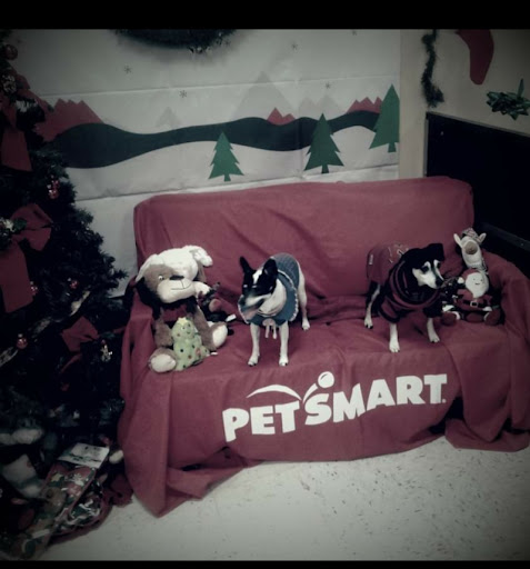 Pet Supply Store «PetSmart», reviews and photos, 3780 Riverchase Village #300, Hoover, AL 35244, USA