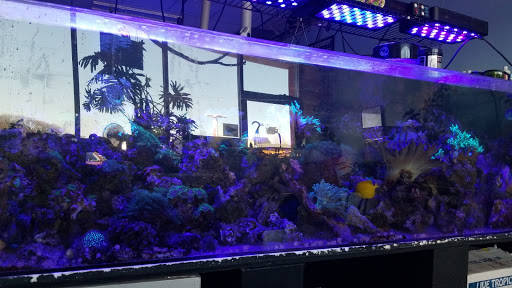 Aquarium «Aquarium Specialties & Research Center», reviews and photos, 235 Lancaster Ave, Malvern, PA 19355, USA