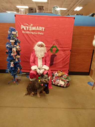 Pet Supply Store «PetSmart», reviews and photos, 225 NW Commons Loop, Lake City, FL 32055, USA