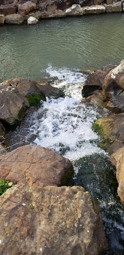 Art Museum «Crystal Bridges Museum of American Art», reviews and photos, 600 Museum Way, Bentonville, AR 72712, USA