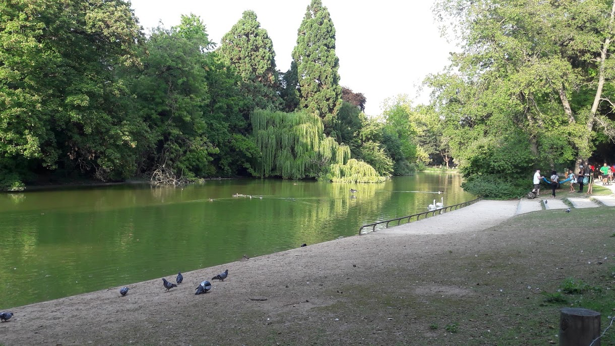 Photo n° 3 de l'avis de Françoise. fait le 31/08/2019 à 09:34