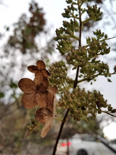 Hamburger Restaurant «Mountain Fresh Grocery Inc», reviews and photos, 521 Main St, Highlands, NC 28741, USA