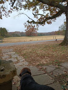 Volley Zone Realty 80 McNew Cemetary Rd, Greenbrier, AR 72058