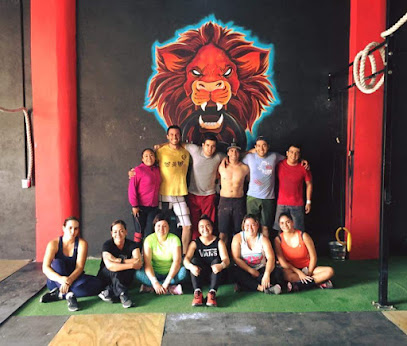 CrossFit RED LION - 38400, Libertad 80, Centro, Valle de Santiago, Gto., Mexico