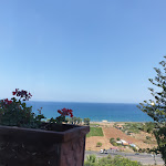 Photo n°2 de l'avis de laura.r fait le 28/07/2019 à 13:52 sur le  Trattoria del Mare Incandela à Altavilla Milicia