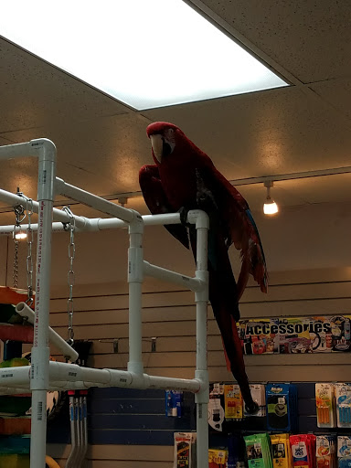 Car Wash «Paradise Full Service Car Wash & Detail Center», reviews and photos, 14324 Huntington Ave, Savage, MN 55378, USA