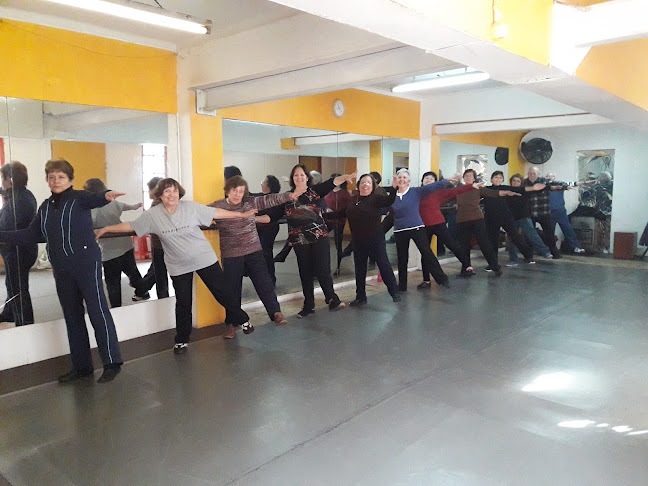 Danza Ebano Ltda. - Escuela de danza