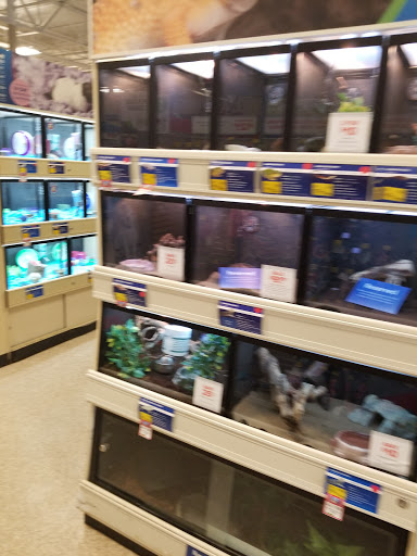 Pet Supply Store «PetSmart», reviews and photos, 2101 NJ-35, Holmdel, NJ 07733, USA