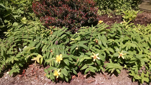 Museum «Captain Salem Avery Museum», reviews and photos, 1418 E West Shady Side Rd, Shady Side, MD 20764, USA