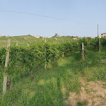 Photo n°13 de l'avis de guy.i fait le 31/07/2023 à 07:40 sur le  Foresteria Valsesia à Cerva