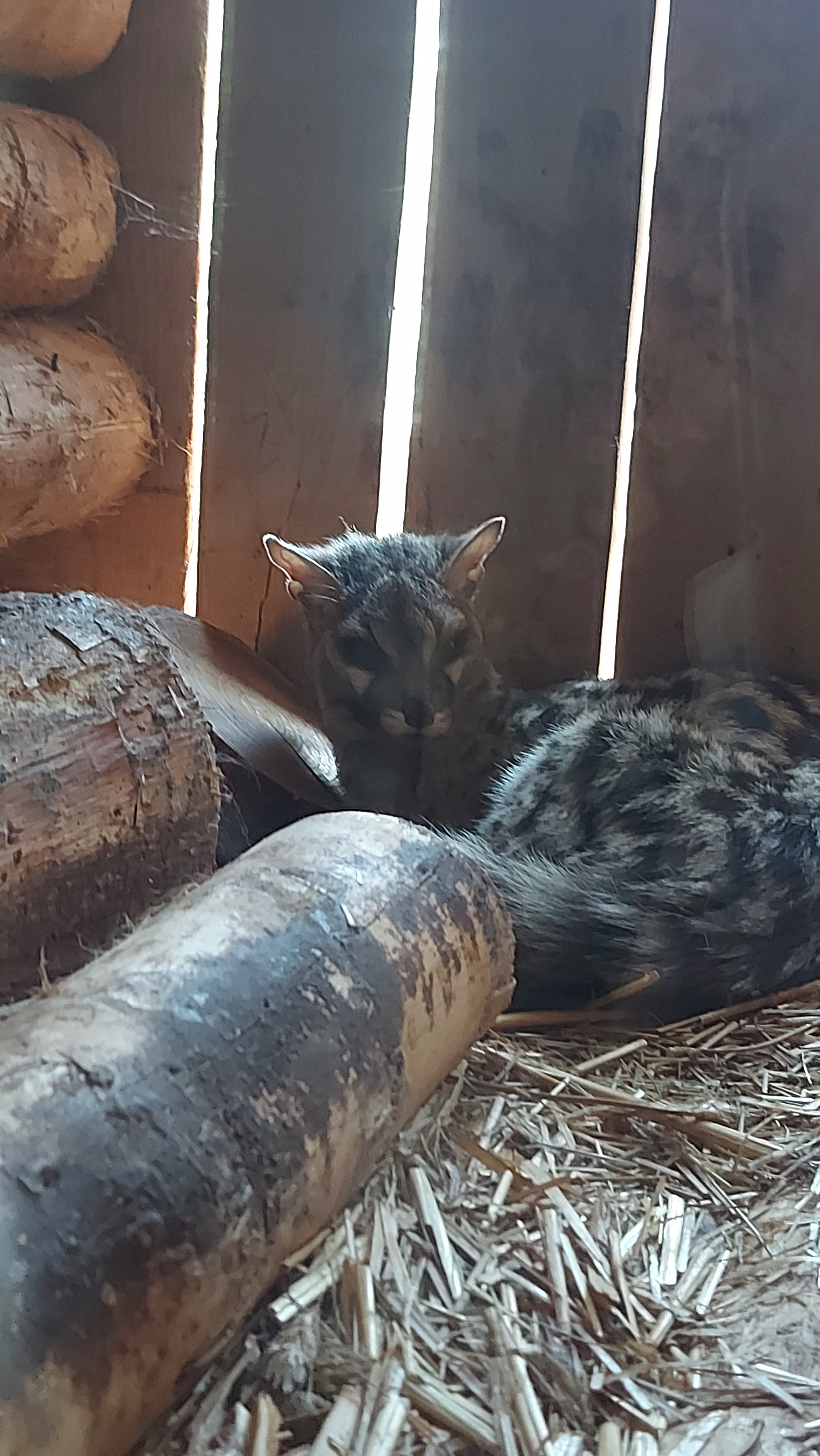 Photo n° 5 de l'avis de Jeremyb59.i fait le 05/08/2023 à 06:02