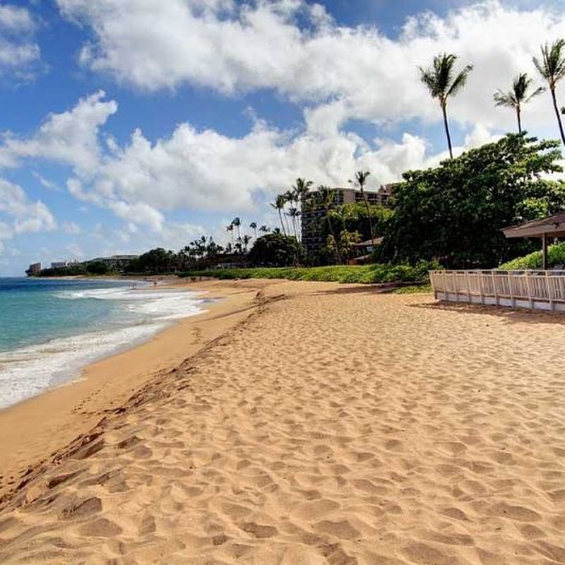 Vacation Maui Rentals