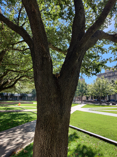 Park «Burnett Park», reviews and photos, 501 W 7th St, Fort Worth, TX 76102, USA
