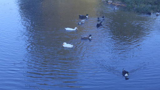 Park «Municipal (Langan) Park», reviews and photos, 4901 Zeigler Blvd, Mobile, AL 36608, USA