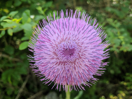 National Park «Stones River National Battlefield», reviews and photos, 3501 Old Nashville Hwy, Murfreesboro, TN 37129, USA