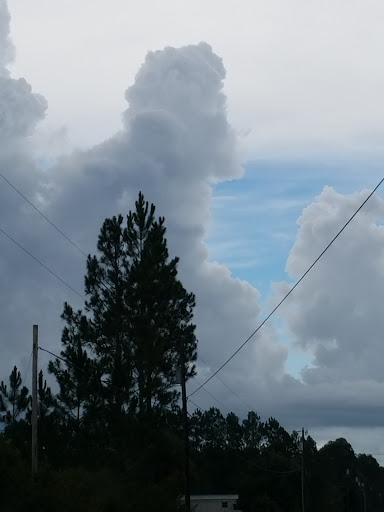 Video Game Store «Dustys Oldies and Goodies», reviews and photos, 8728 Co Rd 2301, Youngstown, FL 32466, USA