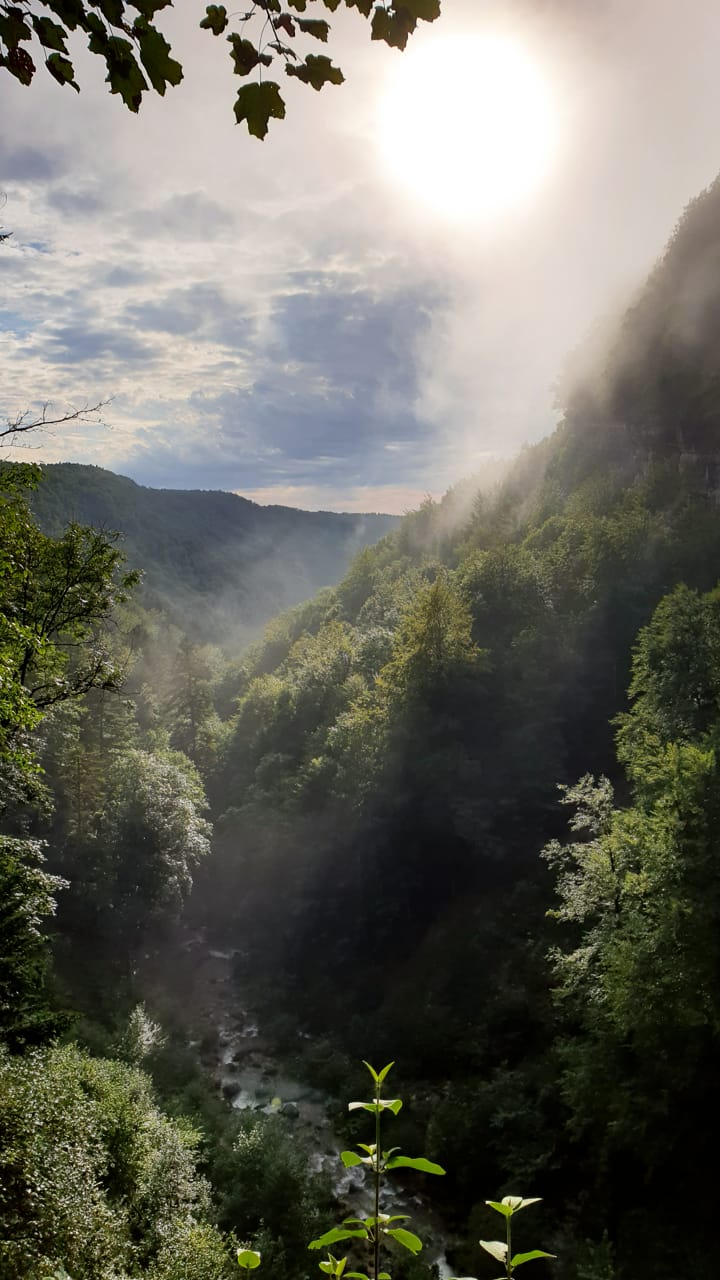 Photo n° 2 de l'avis de Mélanie.e fait le 22/08/2021 à 20:11