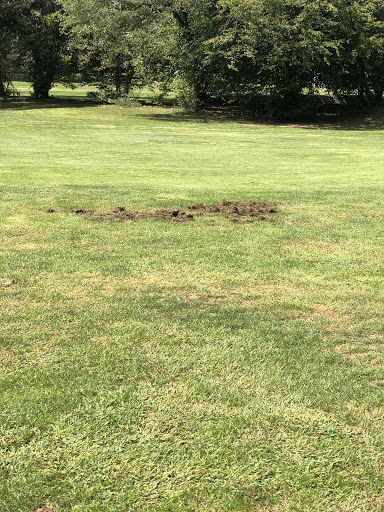 Golf Course «Christopher Morley Park Golf», reviews and photos, 500 Searingtown Rd, Roslyn, NY 11576, USA