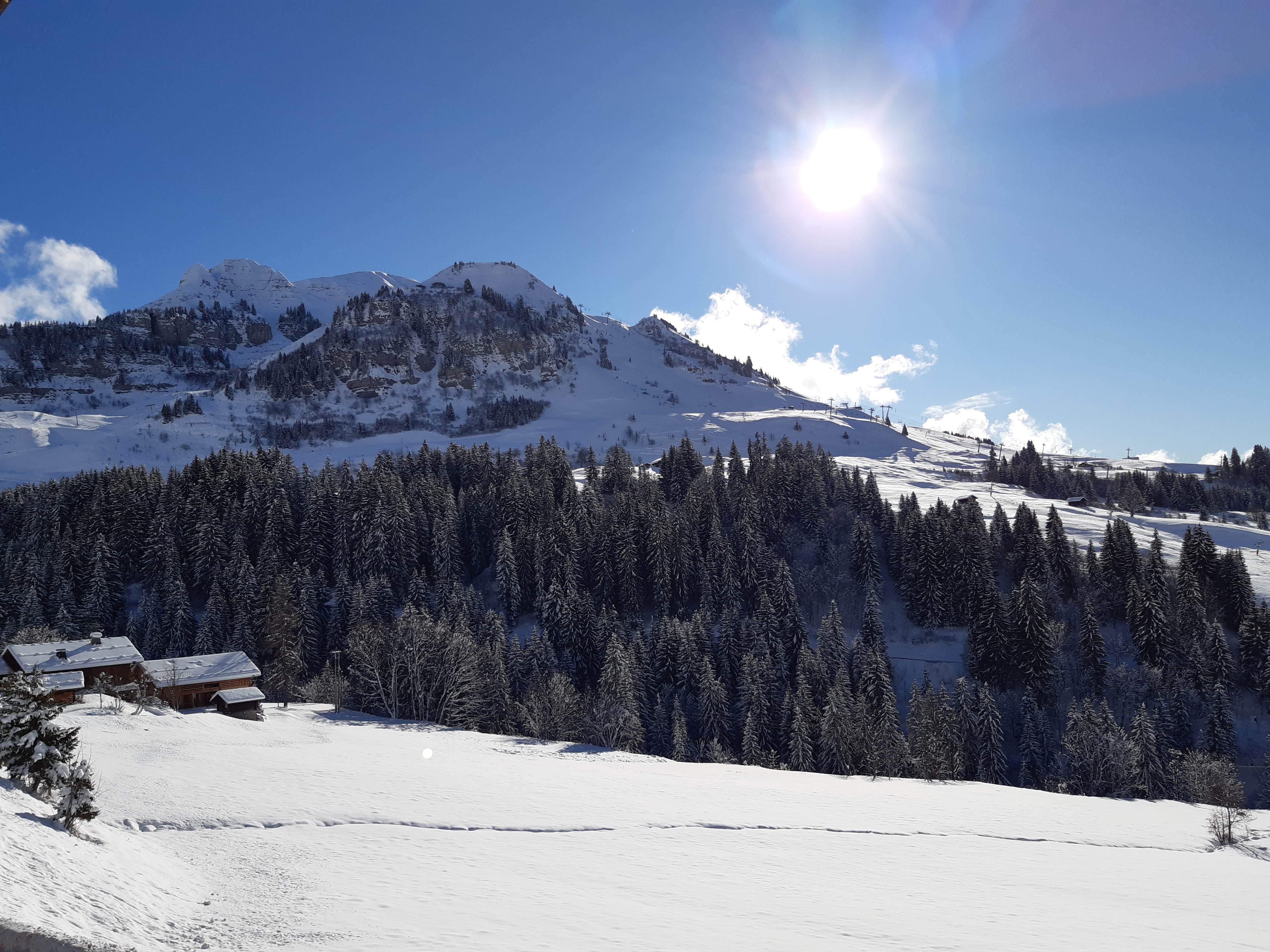 Photo n° 21 de l'avis de Francois.e fait le 06/02/2022 à 14:56