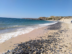 Praia do Carreiro da Fazenda'in fotoğrafı vahşi alan