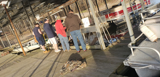 Resort «Mansard Island Resort & Marina», reviews and photos, 60 Mansard Island Dr, Springville, TN 38256, USA