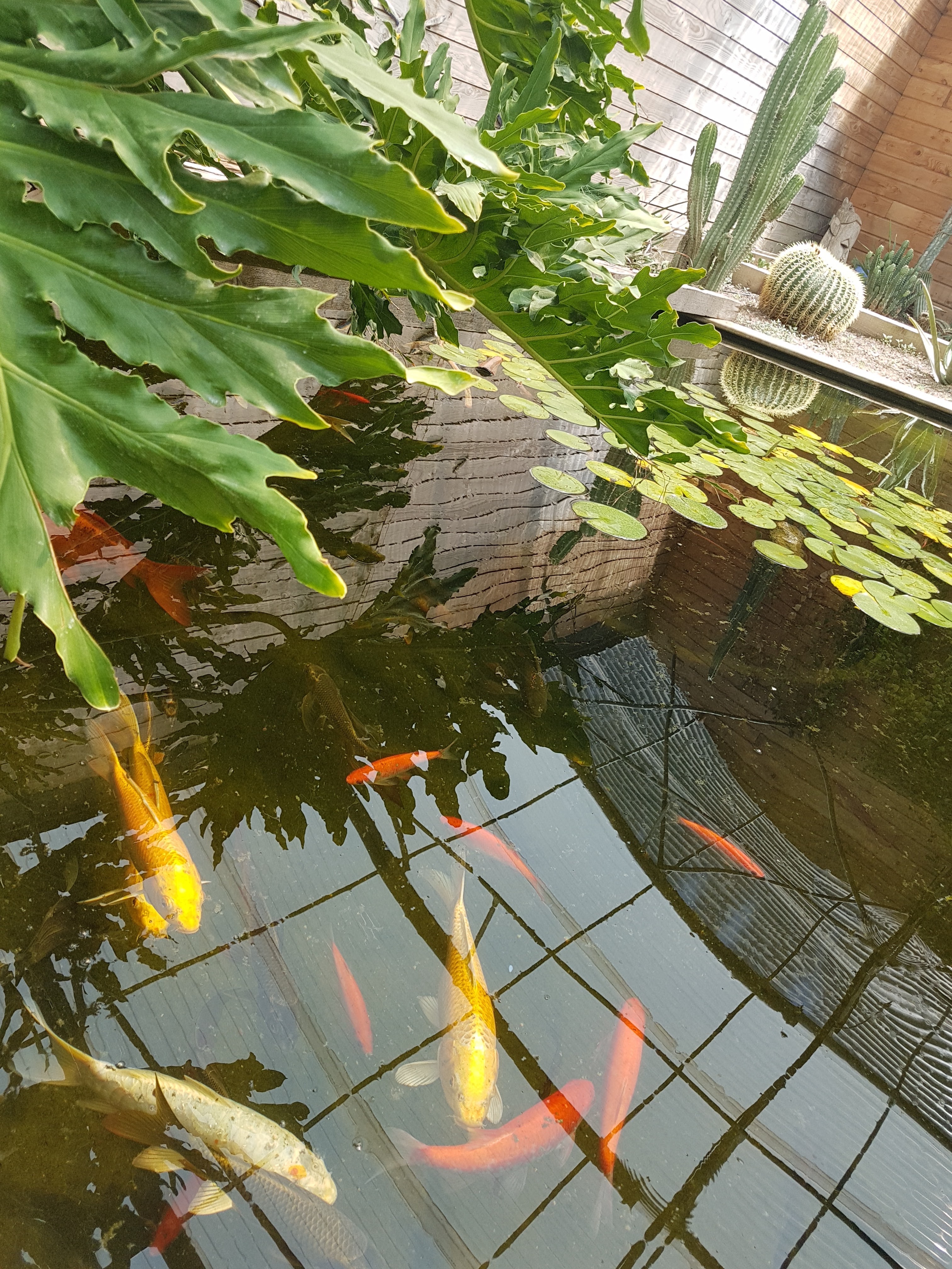 Photo n° 3 de l'avis de Virginie.i fait le 06/09/2017 à 15:10
