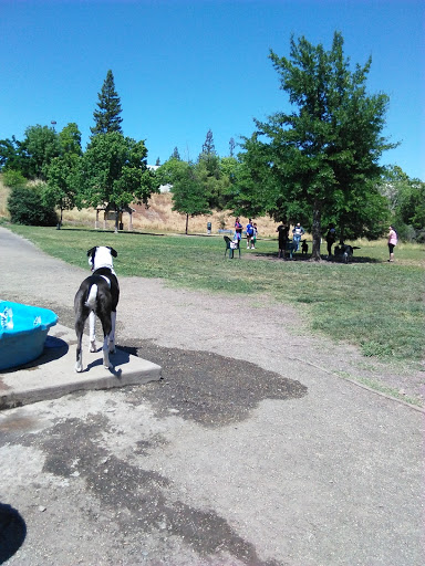Dog Park «Marco Dog Park», reviews and photos, 1800 Sierra Gardens Dr, Roseville, CA 95661, USA