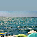 Photo n°8 de l'avis de emanuela.a fait le 16/08/2019 à 13:48 sur le  Ristorante CocktailBar “Il Pirata” à Ladispoli