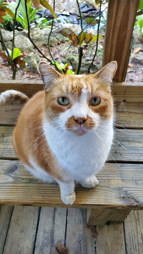 10490 165th St N, Jupiter, FL 33478, USA