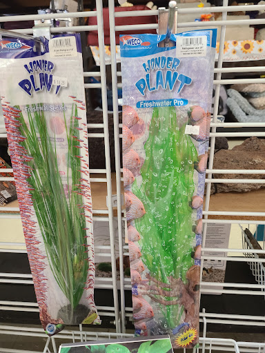 Pet Store «All About Pets LLC», reviews and photos, 52567 Columbia River Hwy, Scappoose, OR 97056, USA