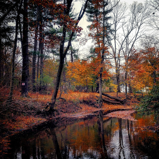 State Park «Evansburg State Park», reviews and photos, 851 Mayhall Rd, Collegeville, PA 19426, USA