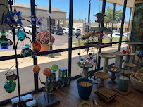 Wild Birds Unlimited - Photo 6 - Car repair in Jackson, MS, Jackson