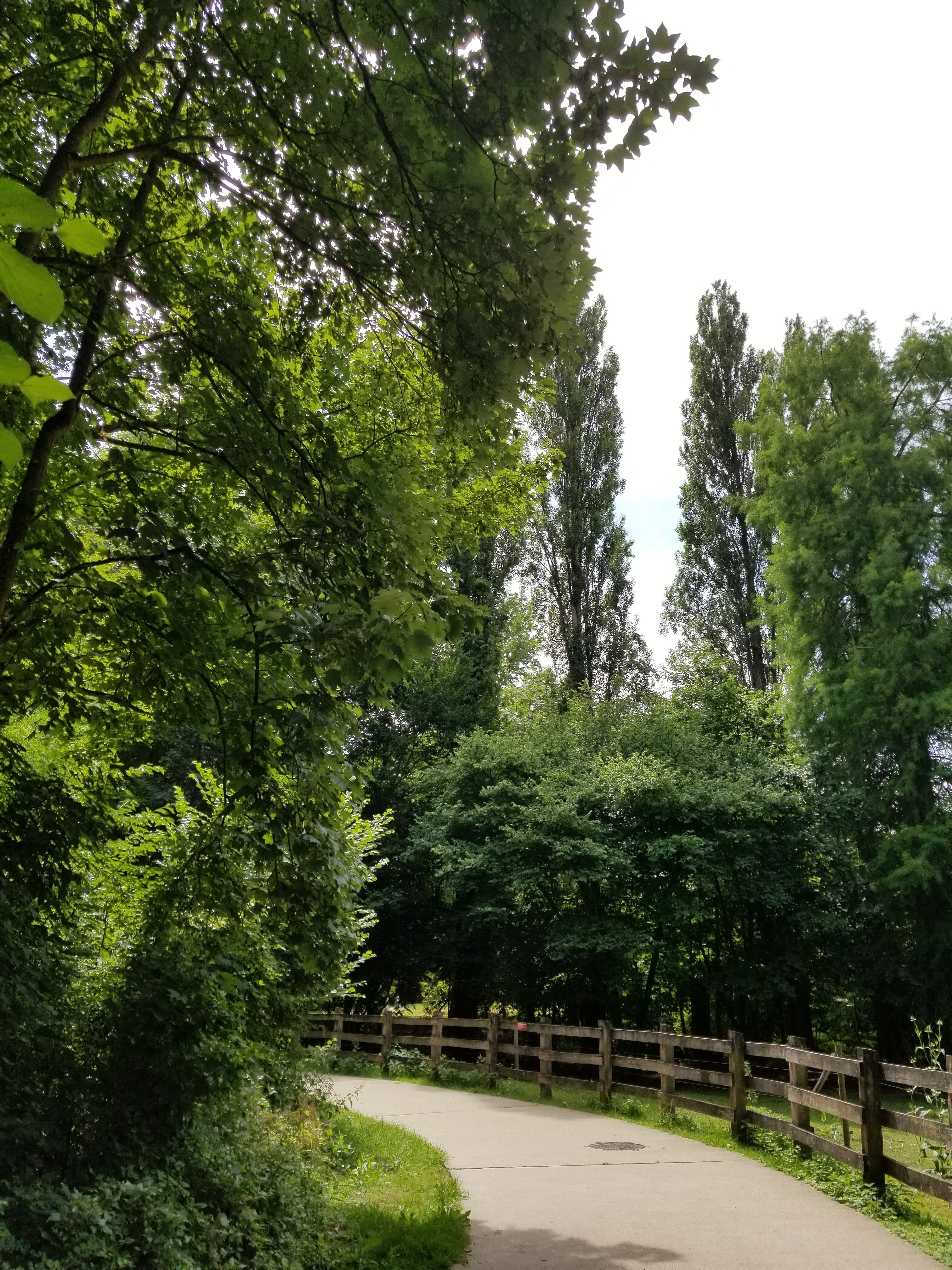 Photo n° 1 de l'avis de Loim.e fait le 05/07/2021 à 05:36