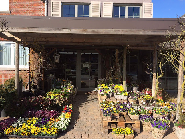 Beoordelingen van Bloemen René in Mechelen - Bloemist
