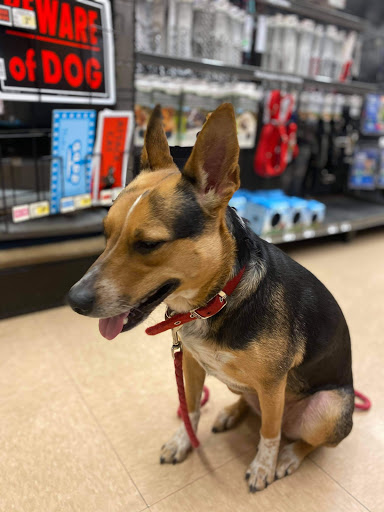 Pet Supply Store «Petco Animal Supplies», reviews and photos, 4226 Veterans Memorial Dr, Batavia, NY 14020, USA