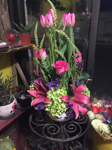 Floreria 3 Palos florería en  en la zona Nueva Oxtotitlán
