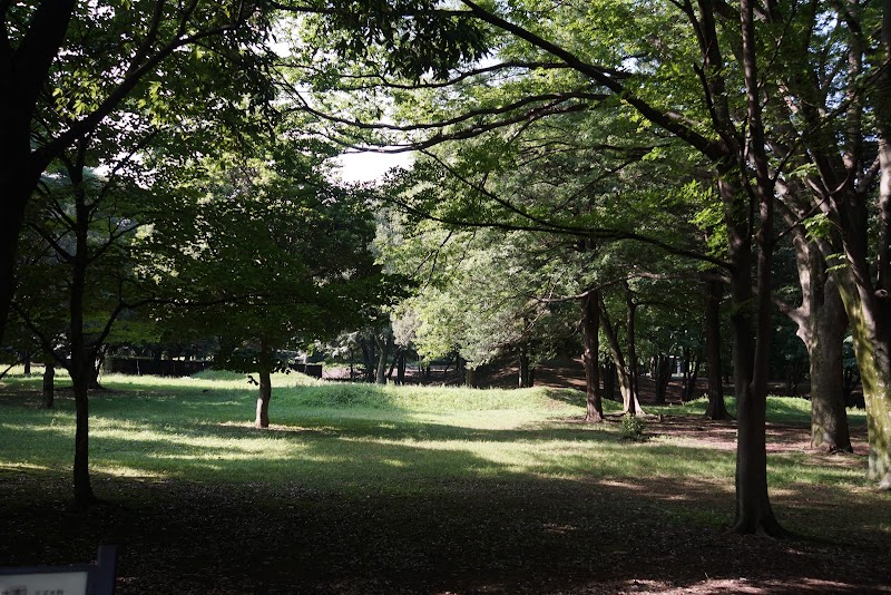 小平市立中央公園 東京都小平市津田町 市立公園 公園 グルコミ