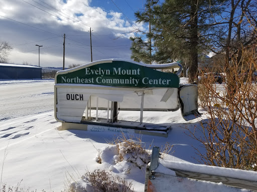 Community Center «Evelyn Mount Northeast Community Center», reviews and photos, 1301 Valley Rd, Reno, NV 89512, USA