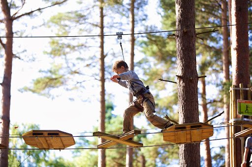 Recreation Center «Go Ape Zip Line & Treetop Adventure - Freedom Park», reviews and photos, 5537 Centerville Rd, Williamsburg, VA 23188, USA