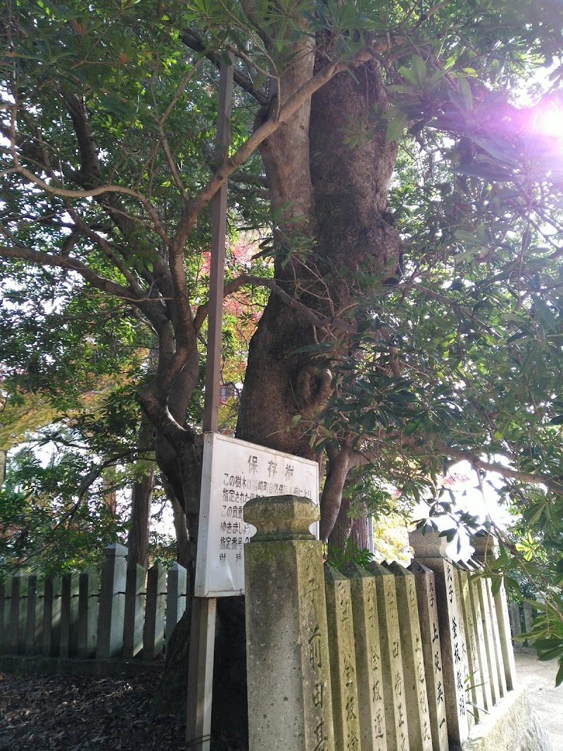 鈴の森神社ヤマモモの木(福崎町指定天然記念物)