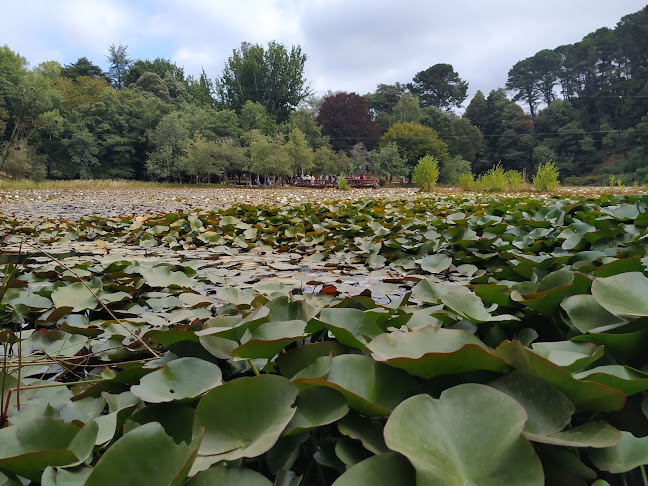 Parque Saval - Valdivia