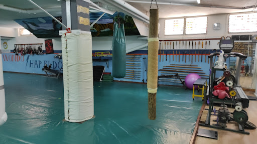 Gimnasio Han Kuk en Telde, Las Palmas