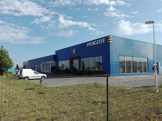 Értékelések erről a helyről: Vektor-Car Kft., Veszprém - Autókereskedő